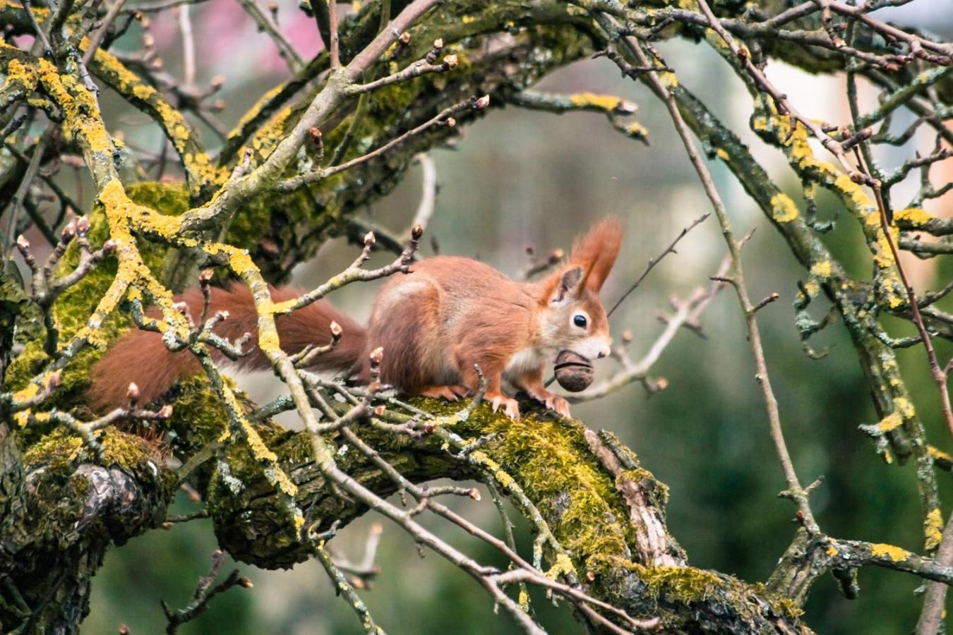 Hof Am Horn - Fewos In Der Natur Laichingen Exterior foto